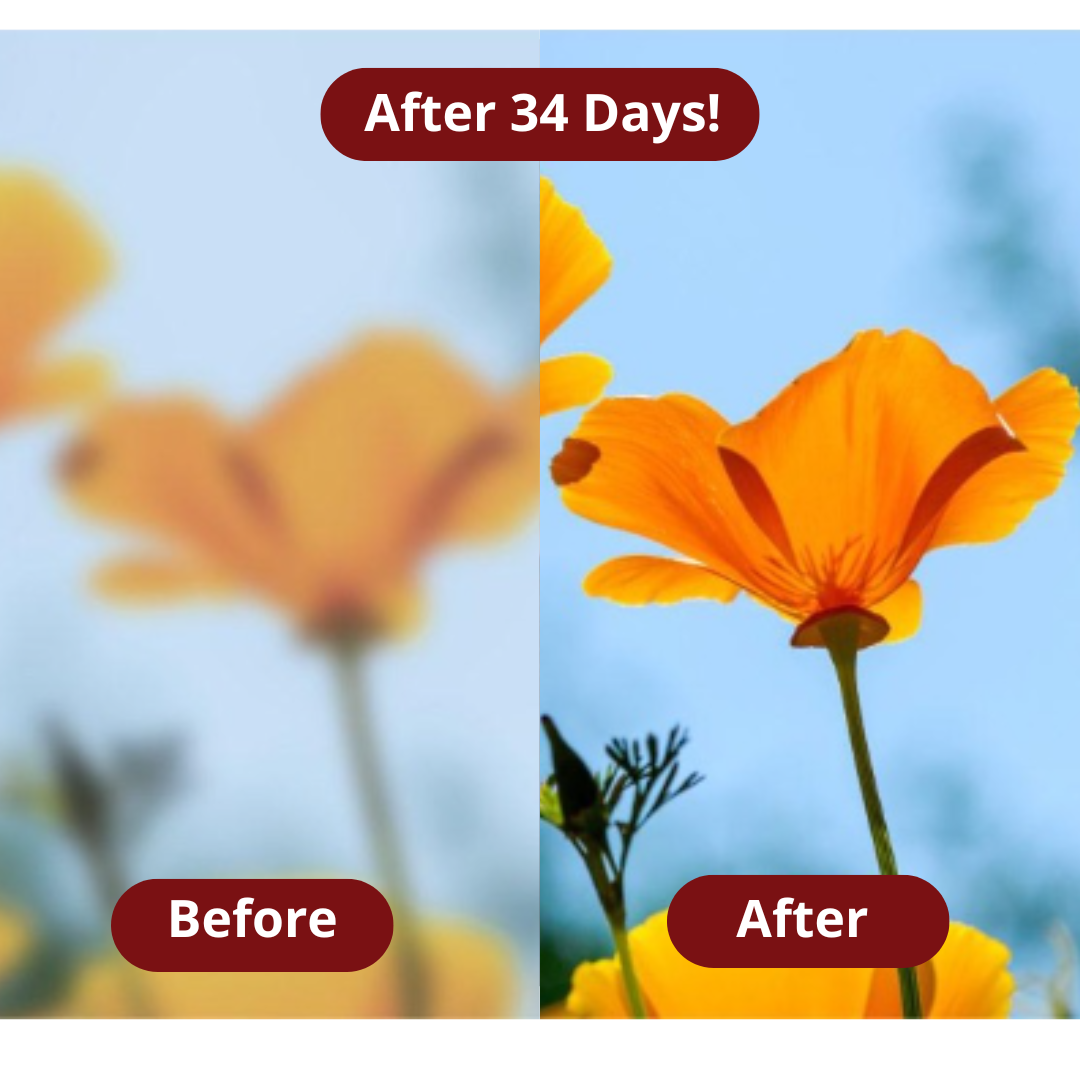 Inovia Astaxanthin Softgels